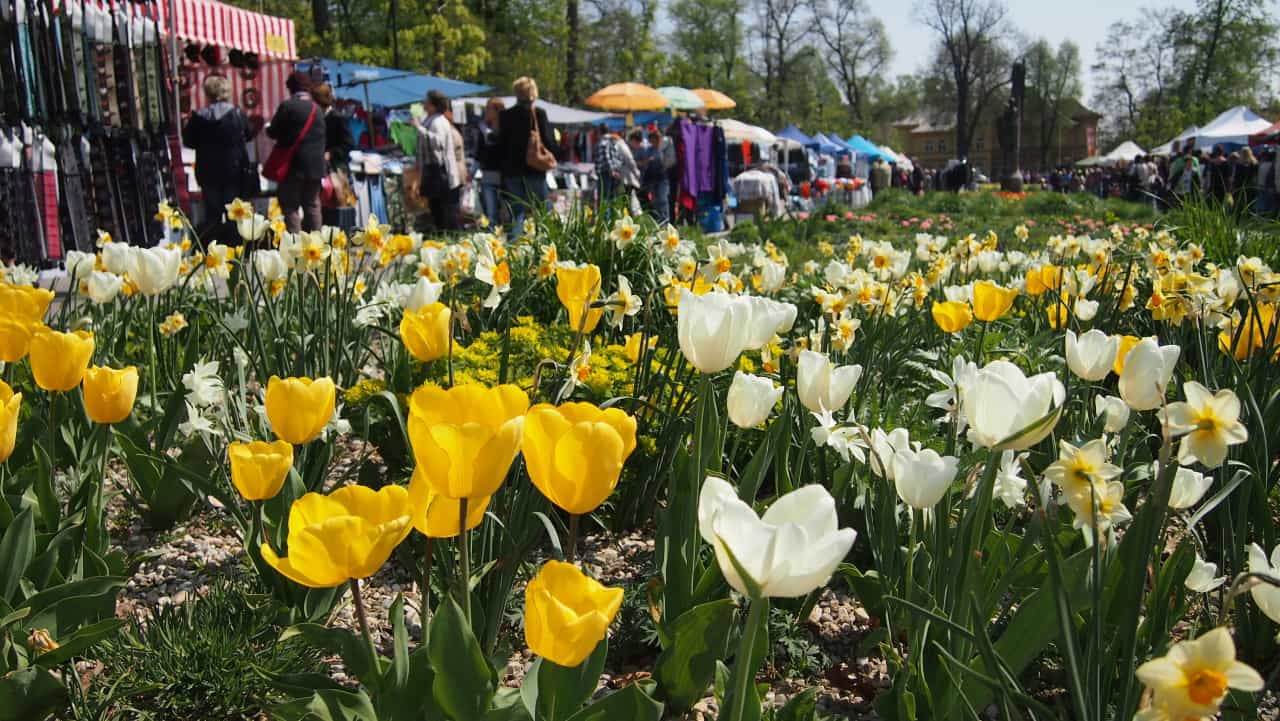 Flora Olomouc 2016 - jarní etapa (foto 2015-03)