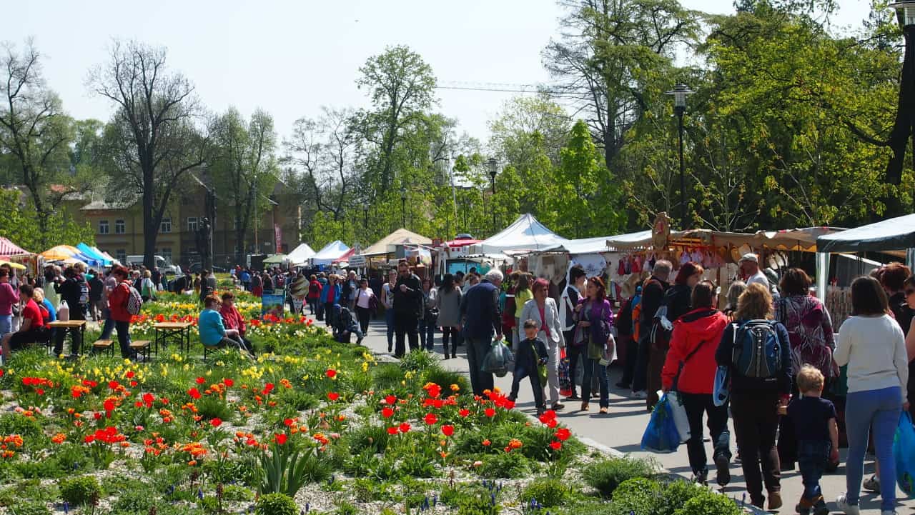 Flora Olomouc 2016 - jarní etapa (foto 2015-04)