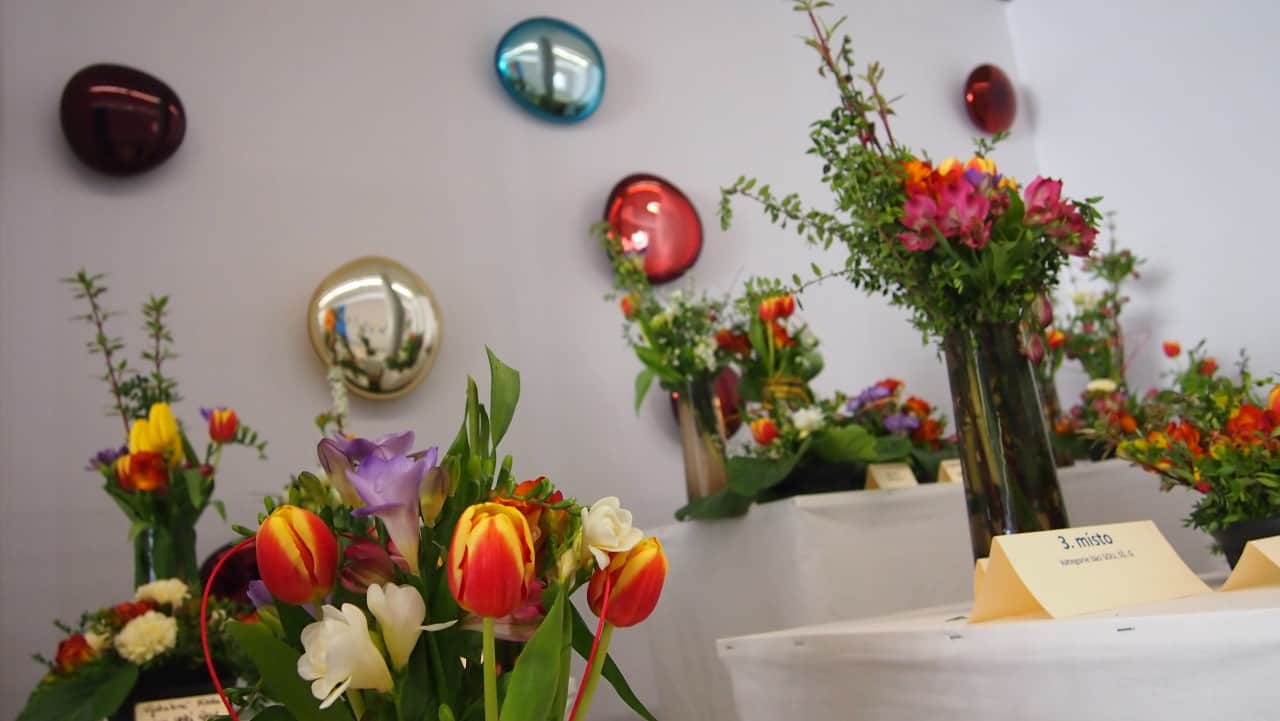 Flora Olomouc 2016 - jarní etapa (foto 2015-05)