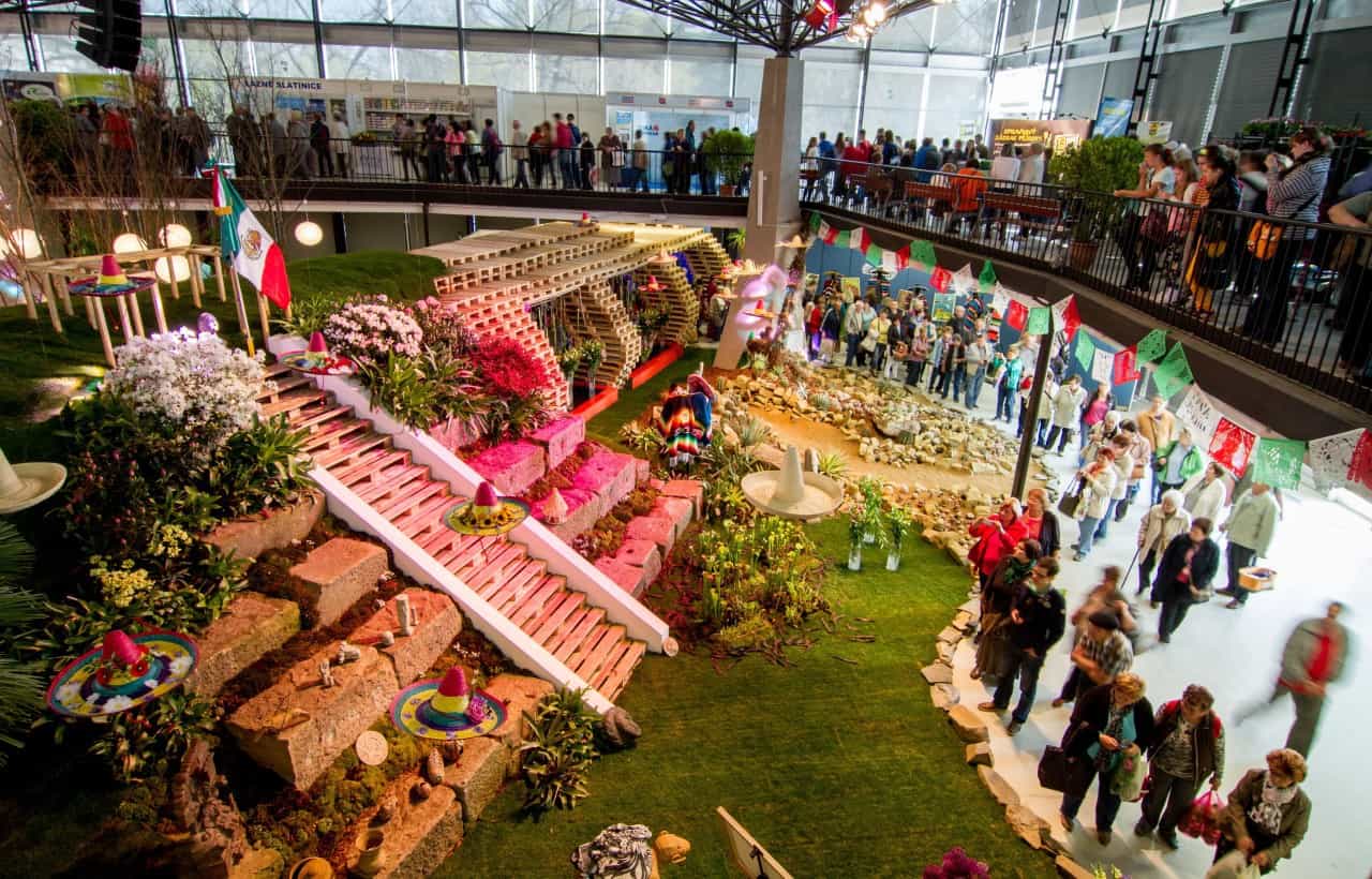 Flora Olomouc 2016 - jarní etapa (foto 2015-07)