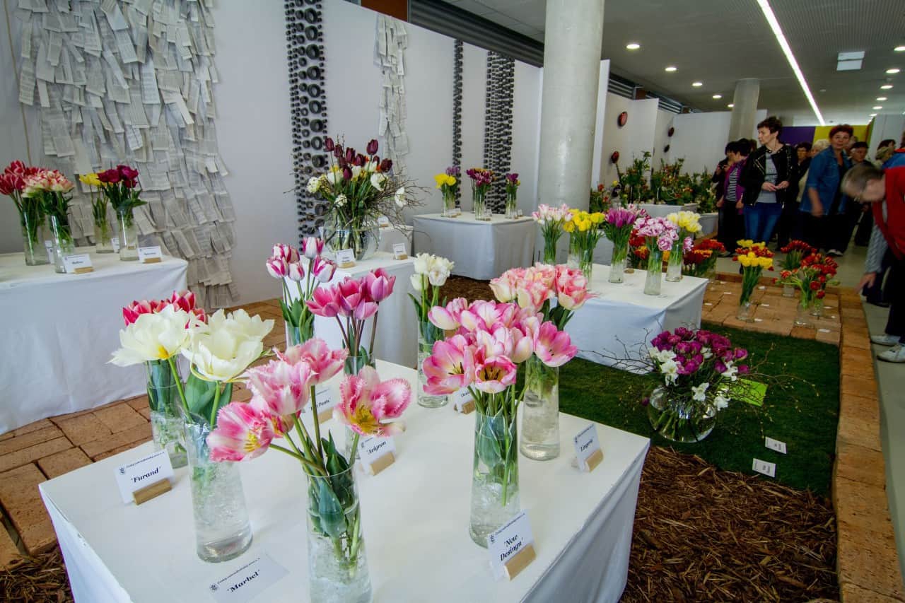 Flora Olomouc 2016 - jarní etapa (foto 2015-08)