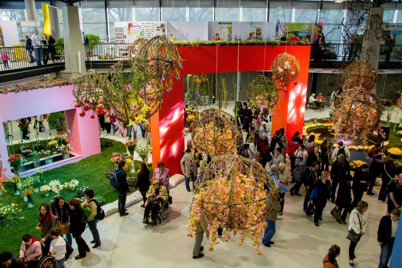 Flora Olomouc 2016 - jarní etapa (foto 2015-09)