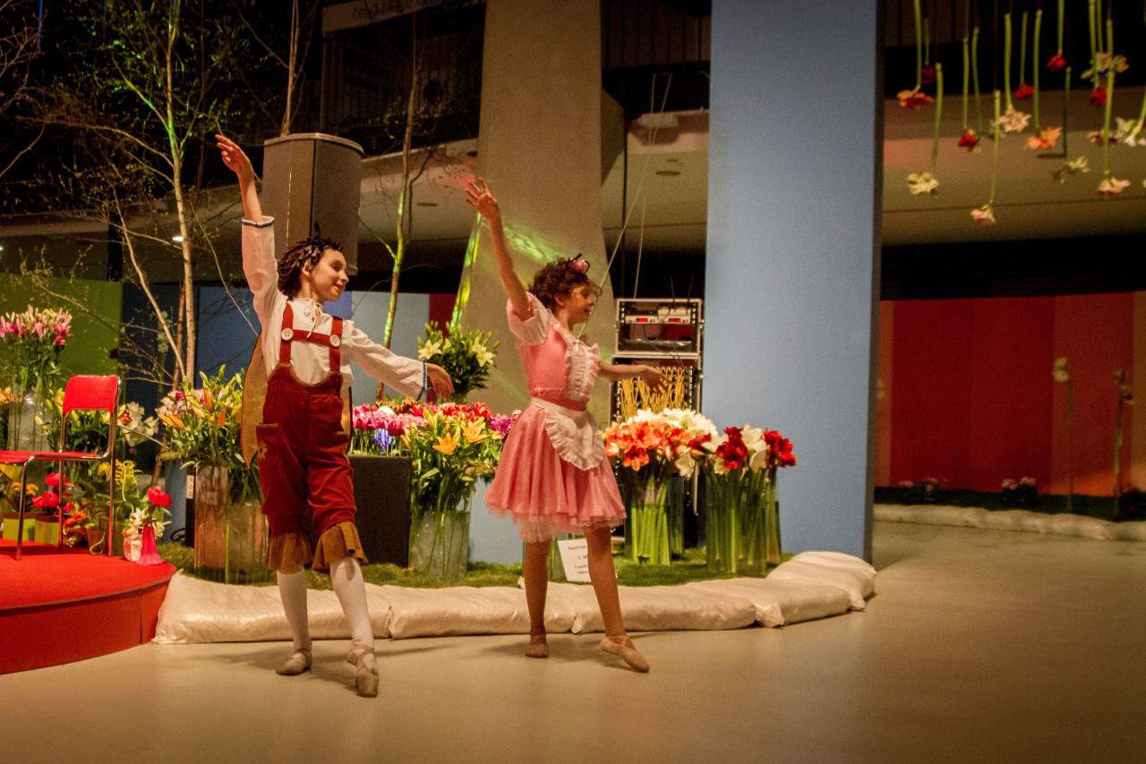 Flora Olomouc 2016 - jarní etapa (foto 2015-11)