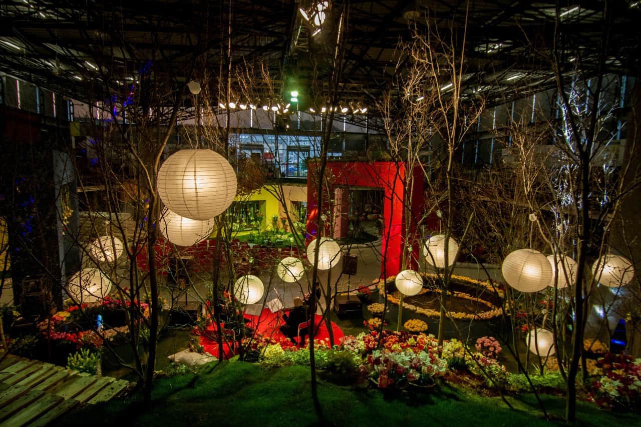 Flora Olomouc 2016 - jarní etapa (foto 2015-12)