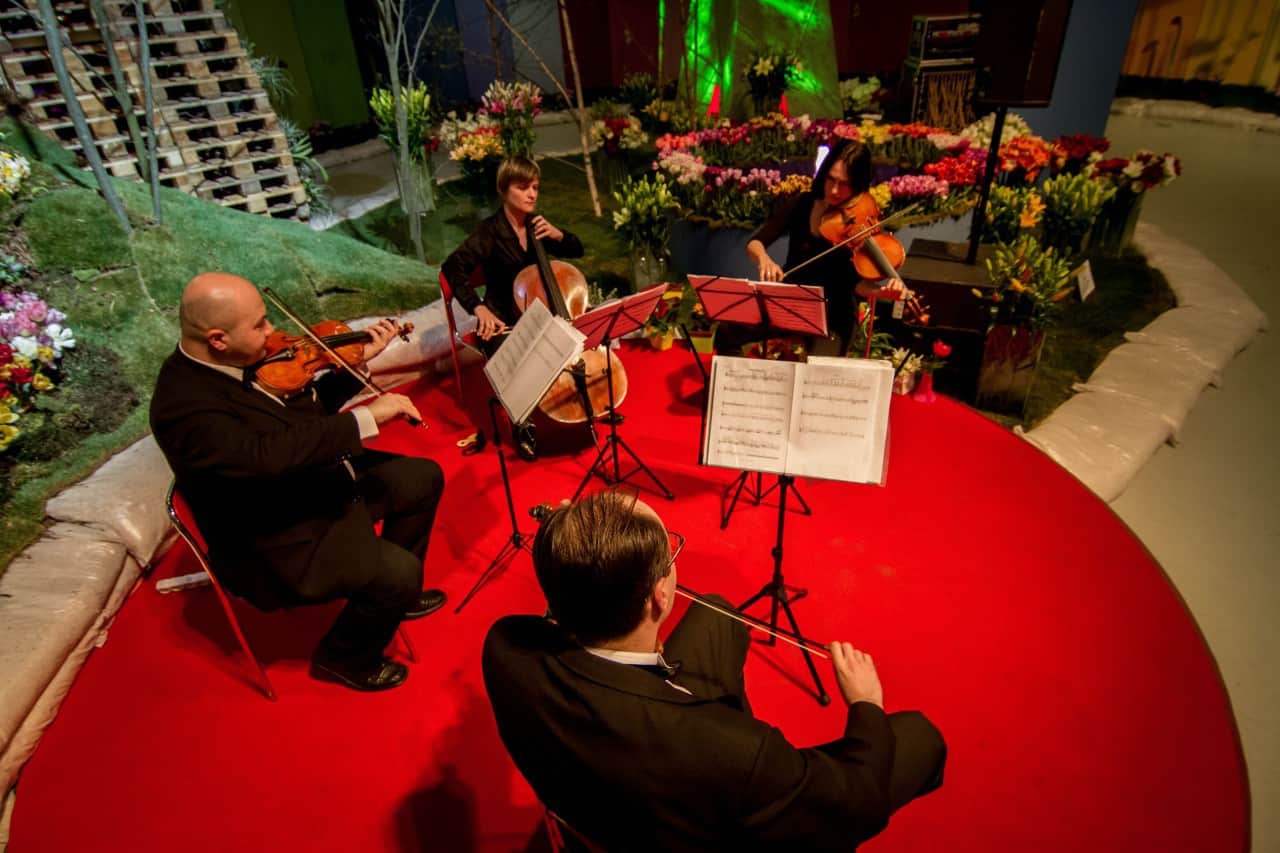 Flora Olomouc 2016 - jarní etapa (foto 2015-13)