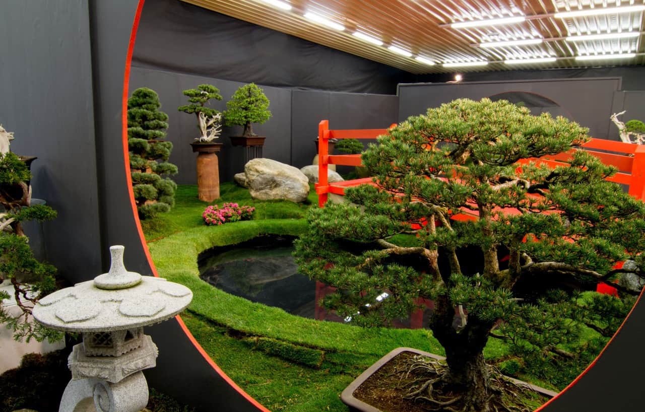 Flora Olomouc 2016 - jarní etapa (foto 2015-16)