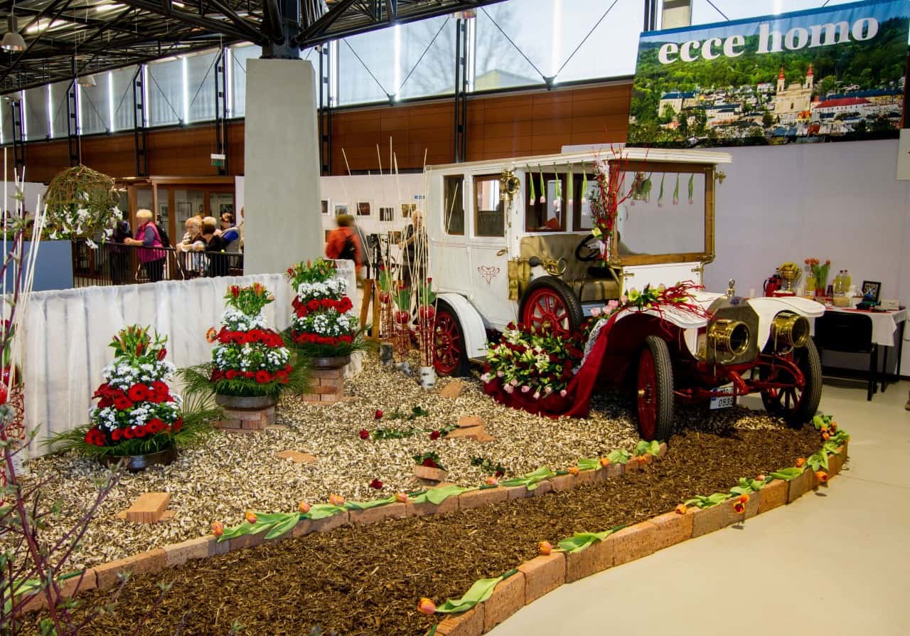 Flora Olomouc 2016 - jarní etapa (foto 2015-17)