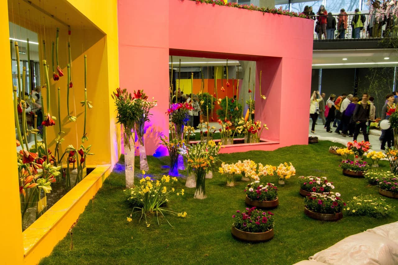 Flora Olomouc 2016 - jarní etapa (foto 2015-18)