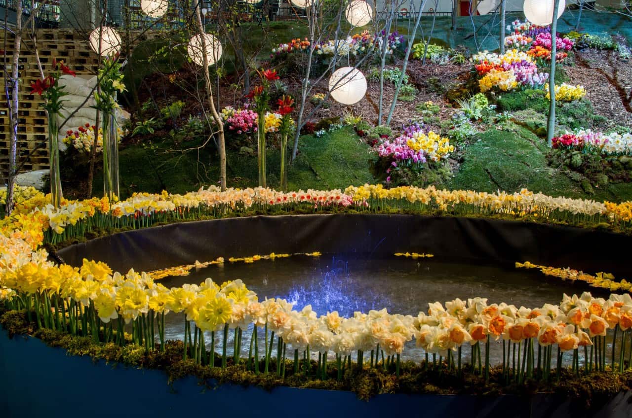 Flora Olomouc 2016 - jarní etapa (foto 2015-19)