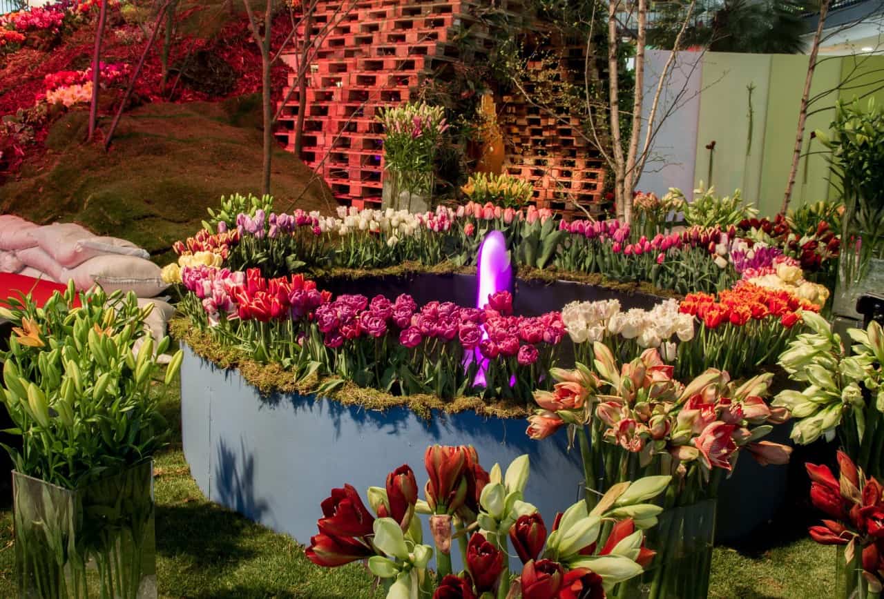 Flora Olomouc 2016 - jarní etapa (foto 2015-20)