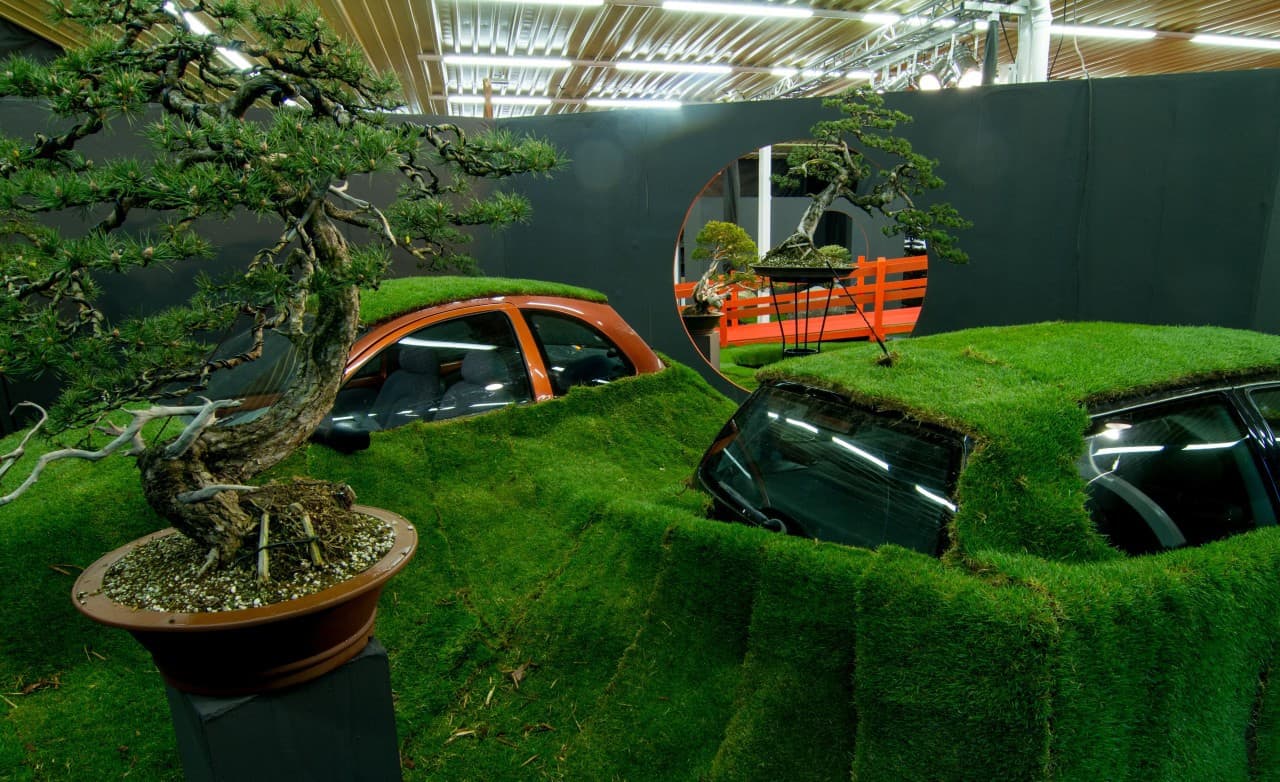 Flora Olomouc 2016 - jarní etapa (foto 2015-21)