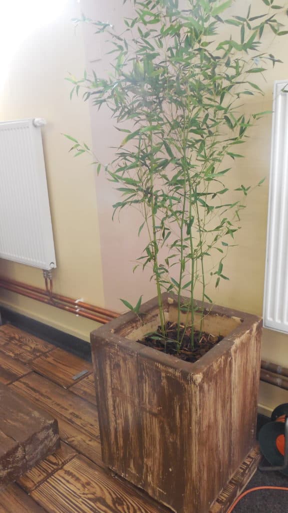 21. stavební výstava Pardubice - podzim 2016 - interiér Presbeton 04