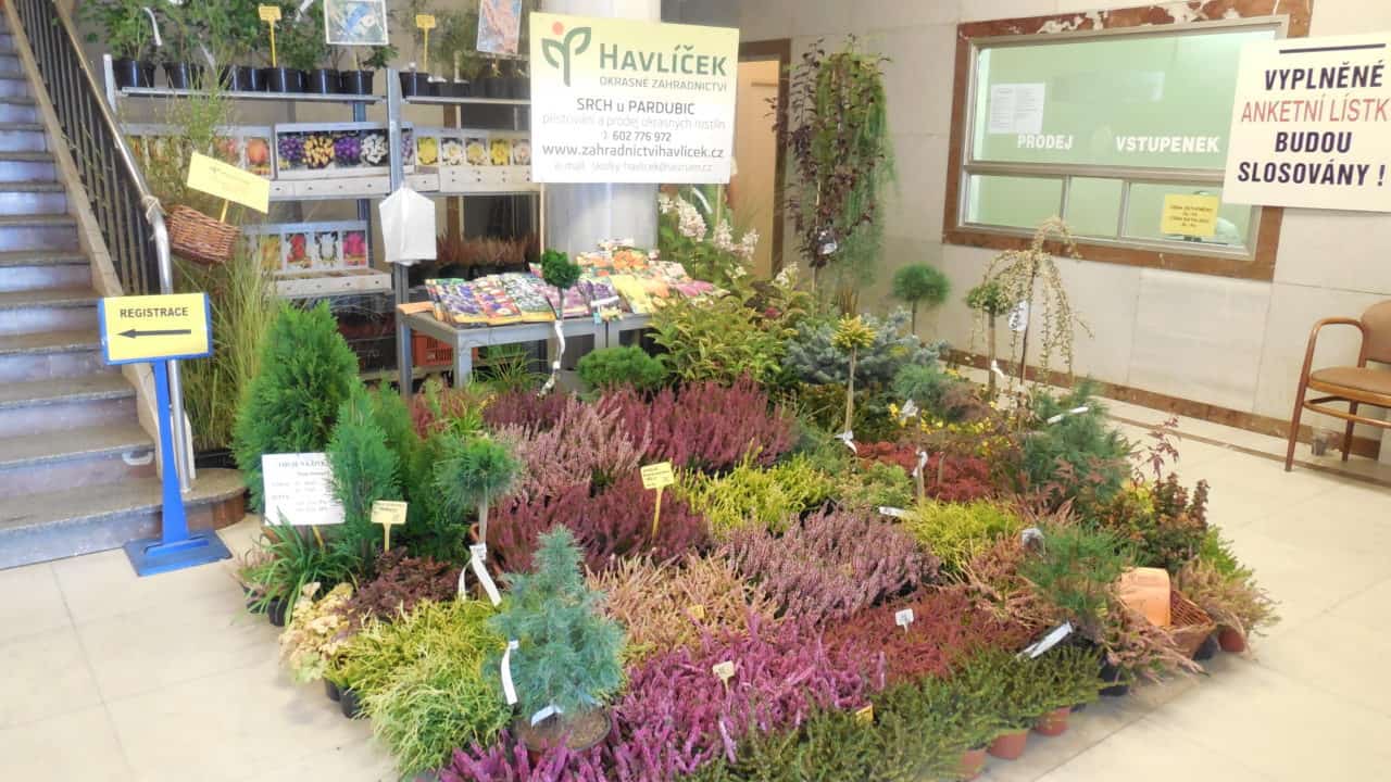 21. stavební výstava Pardubice - podzim 2016 - interiér Zahradnictví Havlíček