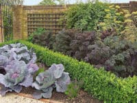 i-uzitkova-zahrada-muze-byt-jedinecna-a-pritazliva-novinky-cz-bydleni-24-9-2016