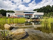 maji-uzasny-dum-s-biotopem-bazenem-i-panskym-klubem-v-suterenu-idnes-cz-bydleni-21-9-2016