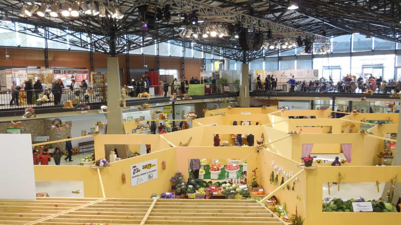 Flora Olomouc 2016 - podzimní etapa (2665)