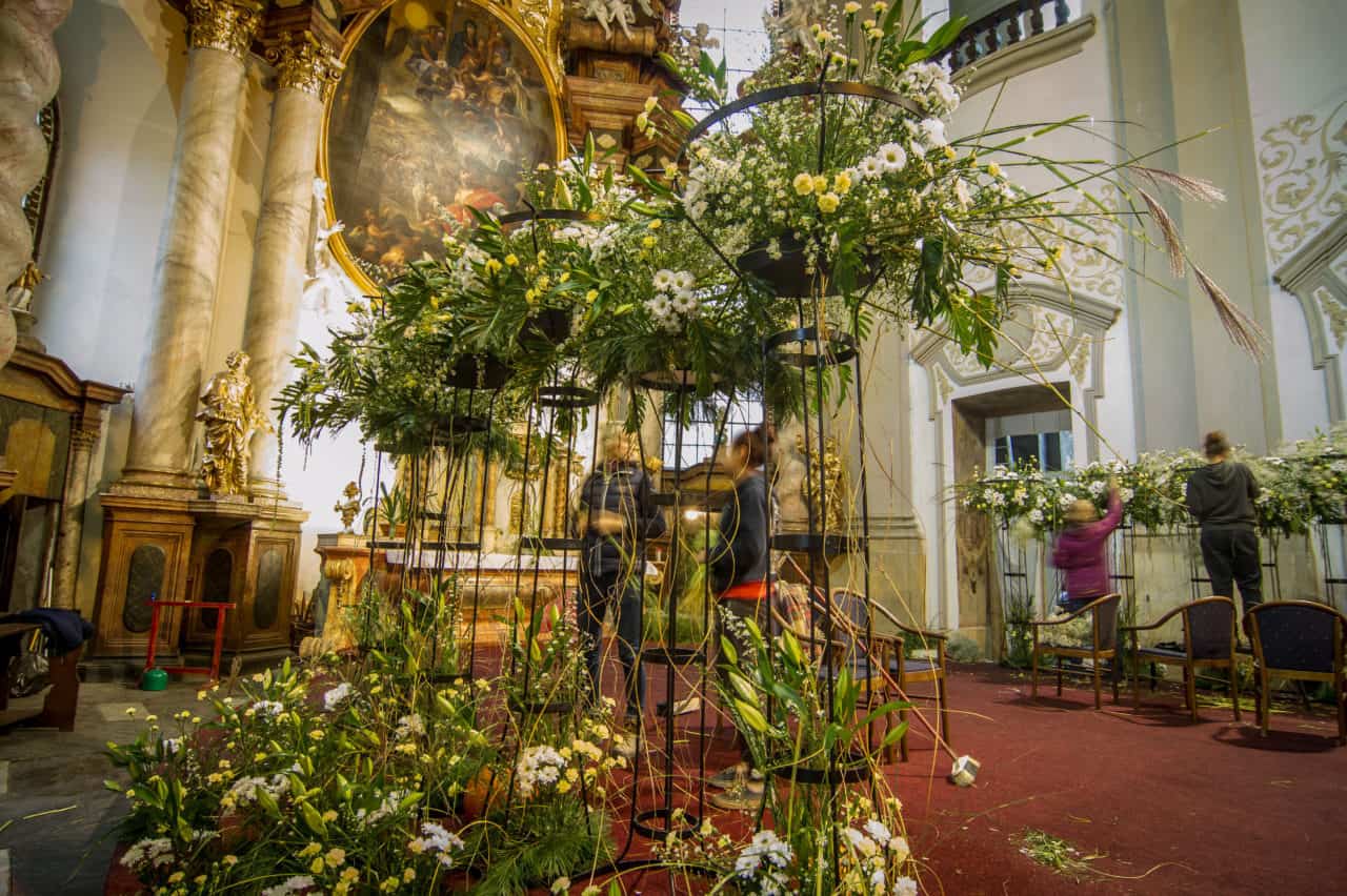 Podzimní Flora 2016 - Rozkvetlé památky (img_1104)