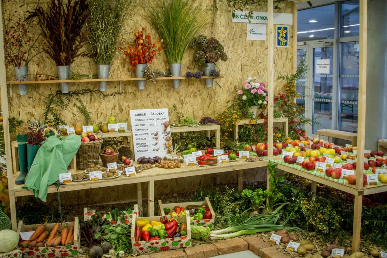 Podzimní Flora Olomouc 2016 (img_1300)