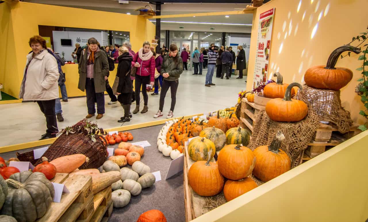 Podzimní Flora Olomouc 2016 (img_1375)