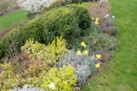 co-by-nemelo-chybet-v-celorocne-aktivni-zahrade-home-bydleni-17-12-2016