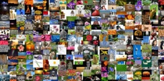 Zajímavé články o bydlení – internetové tipy – listopad 2015