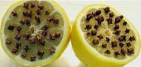 Citron a hřebíček – pokoj od komárů