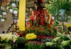 Vydařená jarní Flora Olomouc 2016