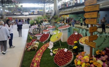 Podzimní Flora 2016 – špičkové produkty ovocnářů a zelinářů