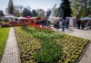 Jarní Flora Olomouc 2017 – Tajemná tvář světa
