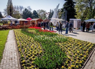 Jarní Flora Olomouc 2017 – Tajemná tvář světa