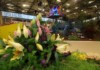 Jarní Flora 2017 s thajskou účastí – rekapitulace