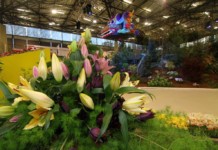 Jarní Flora 2017 s thajskou účastí – rekapitulace