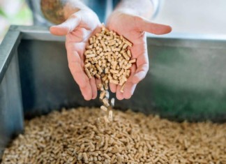 Budoucnost vytápění – peletky? Co o nich víme