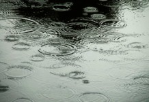 Zahradní a pěstitelský kalendář prací – duben v zahradě