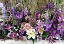 20 tisíc lidí oslavilo 60. výročí Flory Olomouc Letní Flora Olomouc 2018 - květiny
