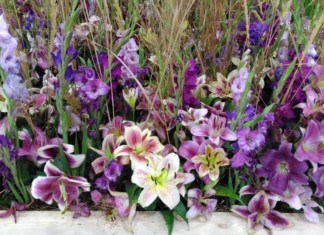 20 tisíc lidí oslavilo 60. výročí Flory Olomouc Letní Flora Olomouc 2018 - květiny