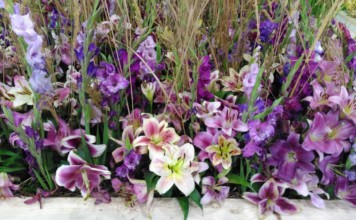 20 tisíc lidí oslavilo 60. výročí Flory Olomouc Letní Flora Olomouc 2018 - květiny