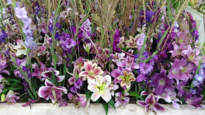 Letní Flora Olomouc 2018 - květiny