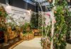 Letní Flora 2020 odkryje krásu městských dvorků a vnitrobloků Flora Olomouc IMG 6891
