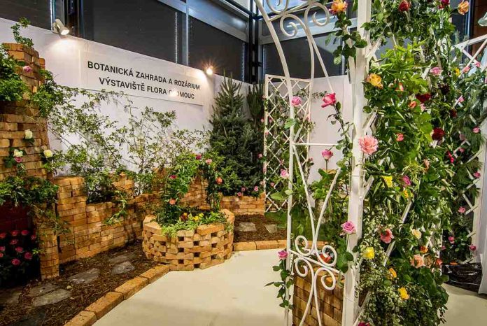 Flora Olomouc IMG 6891