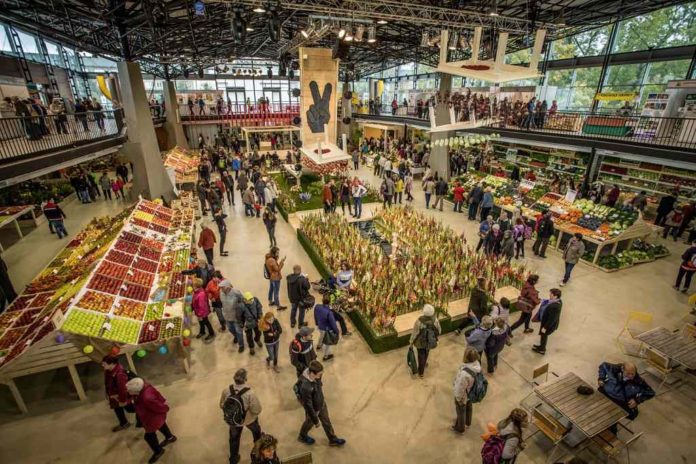 Flora Olomouc podzim 2019 5681