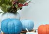 Podzimní inspirace – originální (Halloween) dekorace Primalex nápady - 16 barevné dýně, váza na květiny
