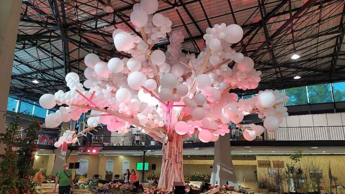 Podzimní Flora 2020 - strom života v hale A