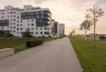 Přehřívání měst pomůže řešit výsadba stromů i zelené budovy Město zeleň - ilustrační