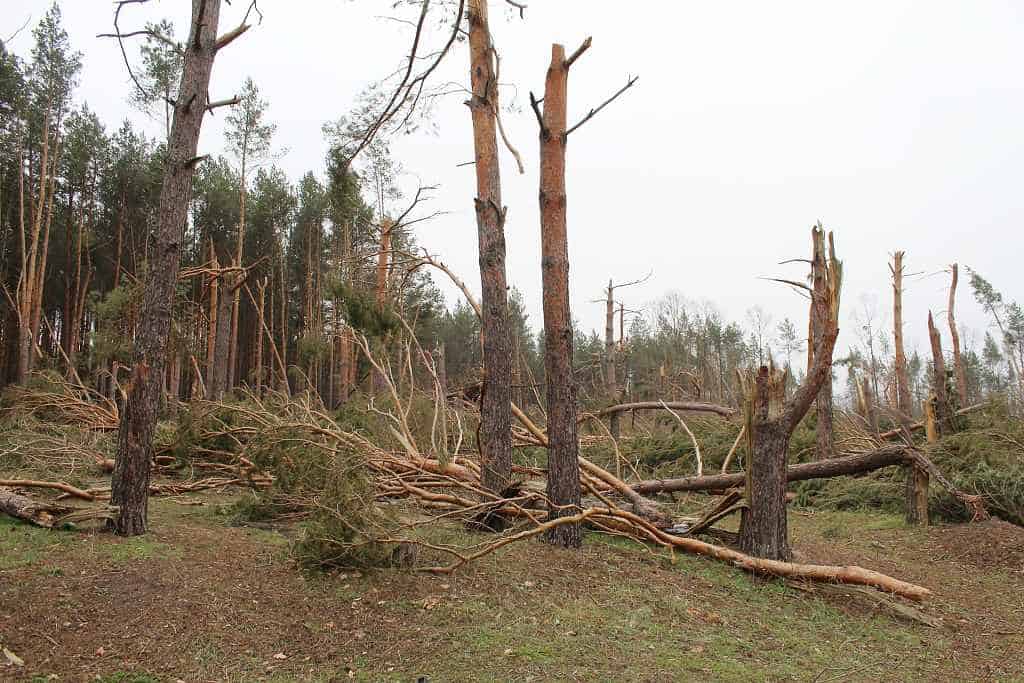 Hurricane - škody způsobené hurikánem, 63005 Pixabay