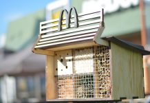 Hmyz a ptáci potřebují také bydlet Hmyzí hotel McDonald´s foto 3
