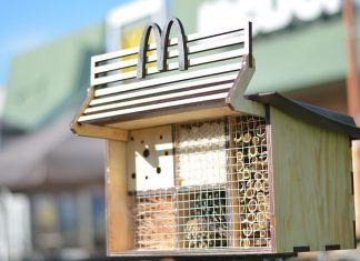 Hmyz a ptáci potřebují také bydlet Hmyzí hotel McDonald´s foto 3