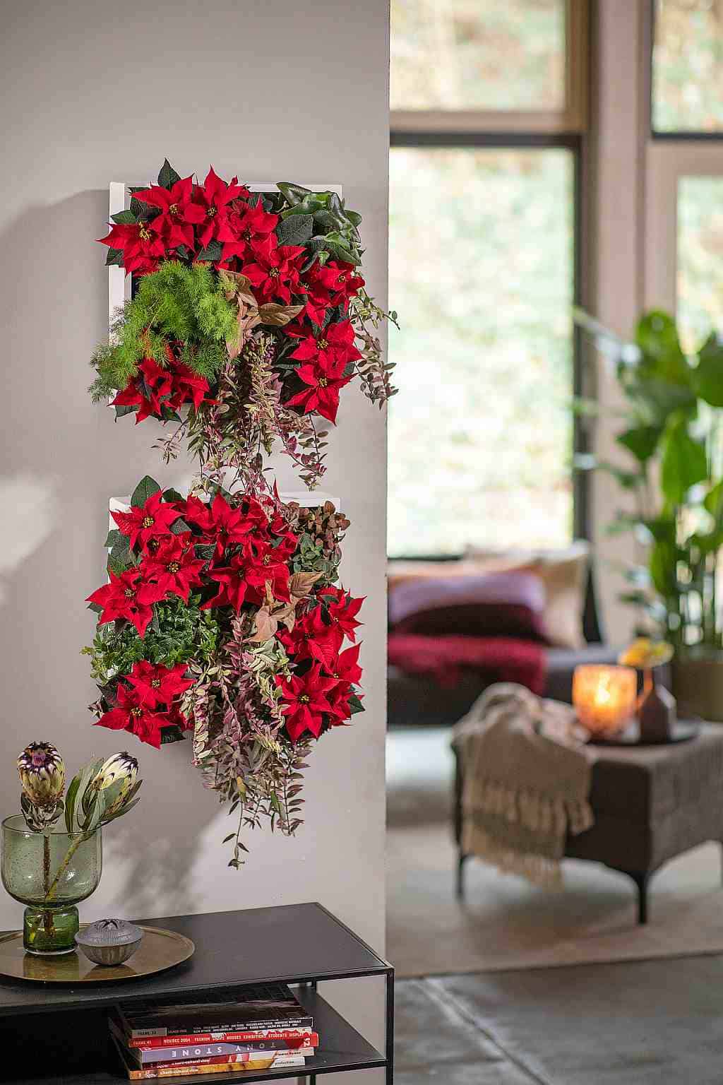 Vertikální květináče jako živá květinová dekorace s vánočními hvězdami (Poinsettia) (2023, foto 07)