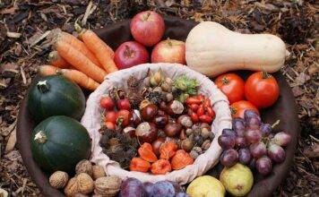 Podzim: Jak využít, nebo uchovat výpěstky, aby vydržely co nejdéle? Podzimní zelenina a ovoce