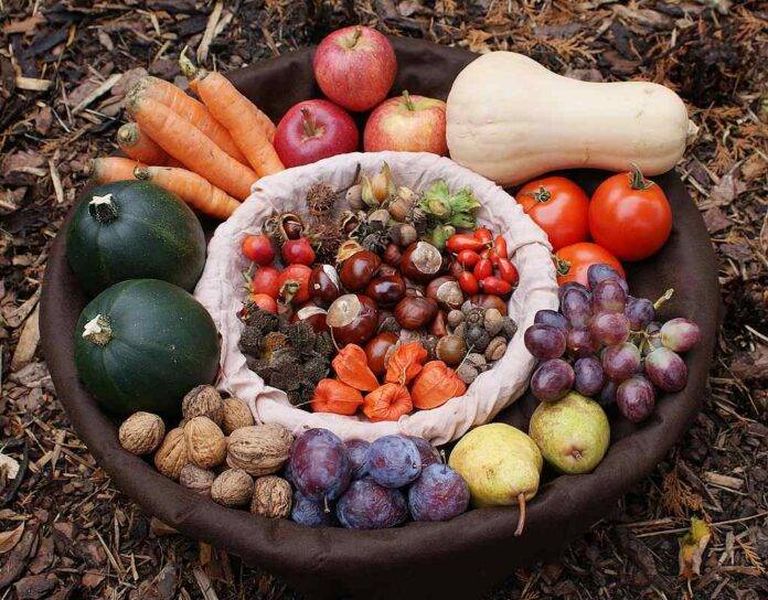 Podzimní zelenina a ovoce